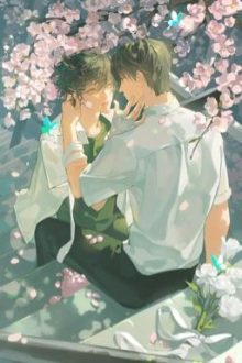 [Dm/Full] Lời Muốn Nói , Trói Chẳng Đặng