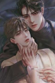 [Song Tính] Hiện Trường Lật Xe Của Tình Yêu Qua Mạng