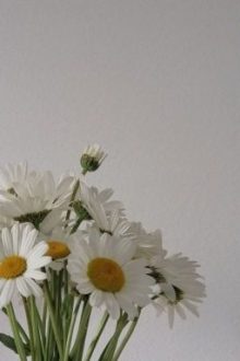 Exception – Meanie