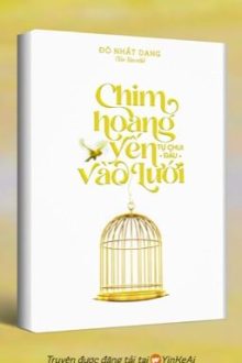 (Đm-Hoàn) Chim Hoàng Yến Tự Chui Đầu Vào Lưới