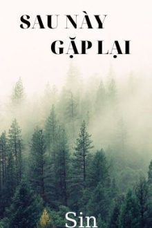 [Sinh Tử, Niên Hạ, Cao H] Sau Này Gặp Lại