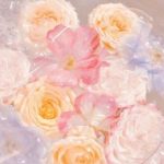 [H Văn] Phủng Sát Chim Hoàng Yến (Hoàn)