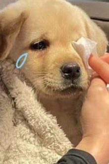 Bé Theo Đuôi Hướng Nội Cùng Ông Xã Đỉnh A Của Bé