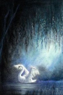 [Hoàn][Đam Mỹ Ngắn] Thiên Nga Trắng Và Người Chồng Tâm Cơ Của Cậu
