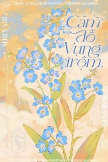 Series Ntr: Cám Dỗ Vụng Trộm