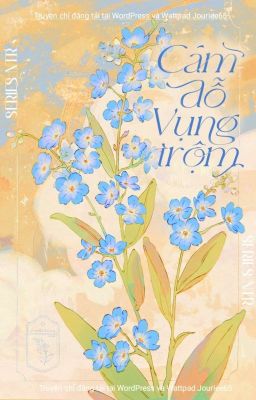 Series Ntr: Cám Dỗ Vụng Trộm
