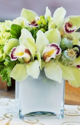 [Đam Mỹ] Tiên Mãn Cung Đường