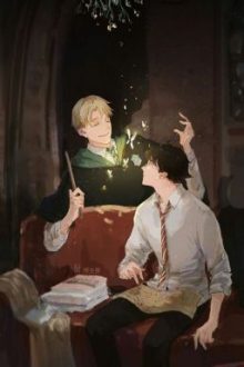 || Drarry || Abo || Câu Chuyện Vào Năm Thứ Năm