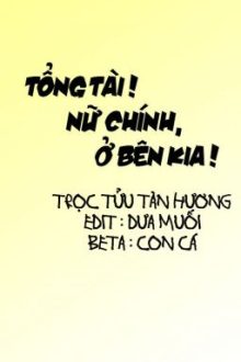 Tổng Tài, Nữ Chính Ở Bên Kia [Hoàn] [Beta]
