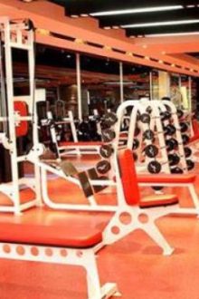 Kỹ Năng Cơ Bản Trong Phòng Gym