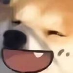 Nuông Chiều – Xuân Nhập Trì Trì (Hoàn Thành)