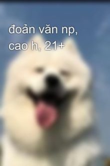 Đoản Văn Np, Cao H, 21+