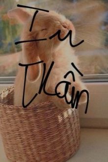 •𝐁𝐉𝐘𝐗/𝐇/𝐅𝐮𝐥𝐥• Yêu Thầm
