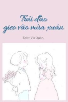 [Edit Hoàn] Trái Đào Gieo Vào Mùa Xuân – H Văn