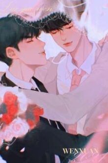 [Trans][Văn Hiên/文轩] Rượu Ngọt Vị Dâu Tây