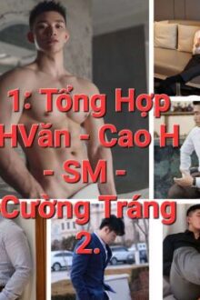 2.Tổng Hợp H Văn _Cao H